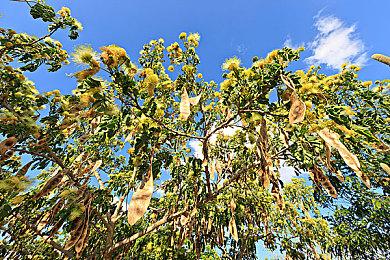 《绝区零》新角色薇薇安PV 紫发泪痣少女登场