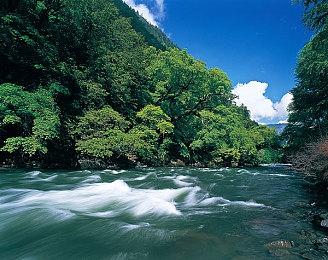 cod18使命召唤先锋配置要求是什么？低配能玩吗？